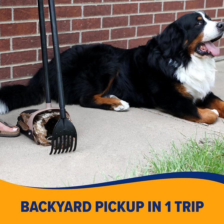 Tucker Murphy Pet™ Rake Dog Poop Scooper Wayfair